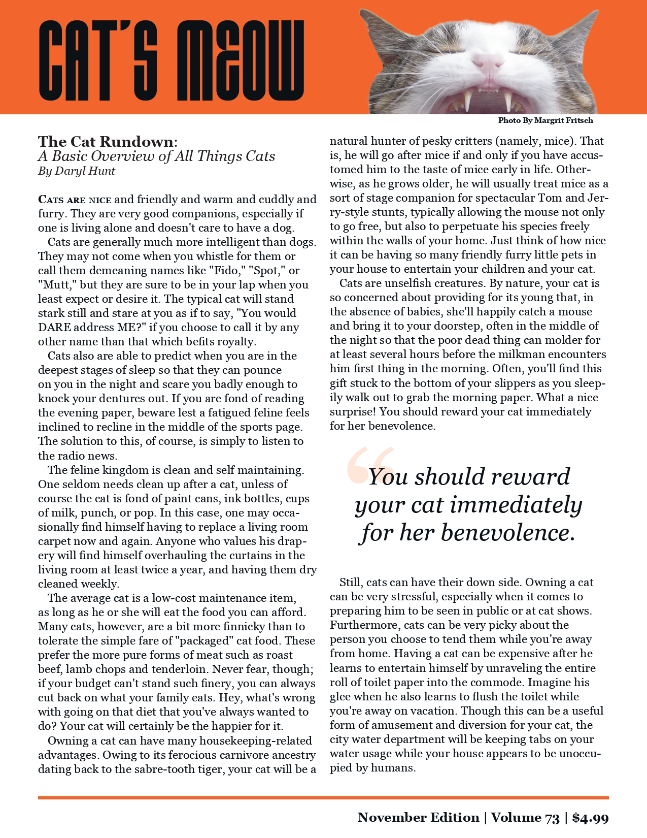 Cats Meow editorial layout